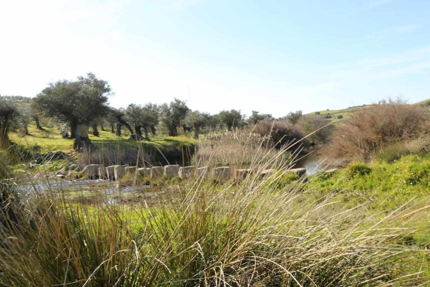 El Olivar Agloipe Ahigal Trcc Dış mekan fotoğraf