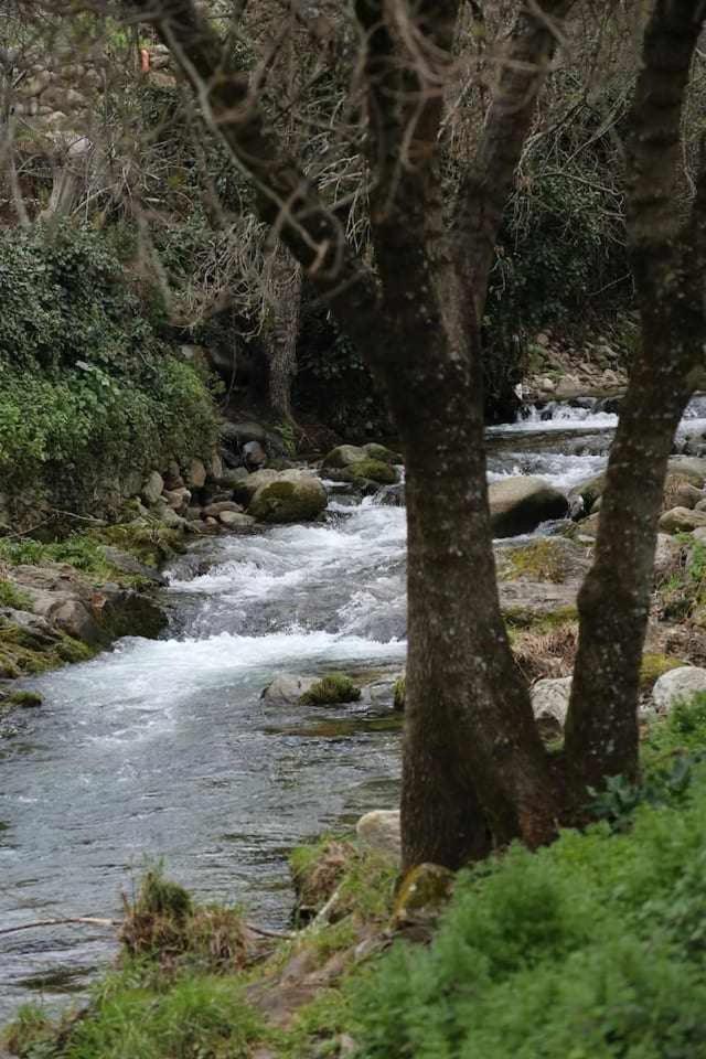 El Olivar Agloipe Ahigal Trcc Dış mekan fotoğraf